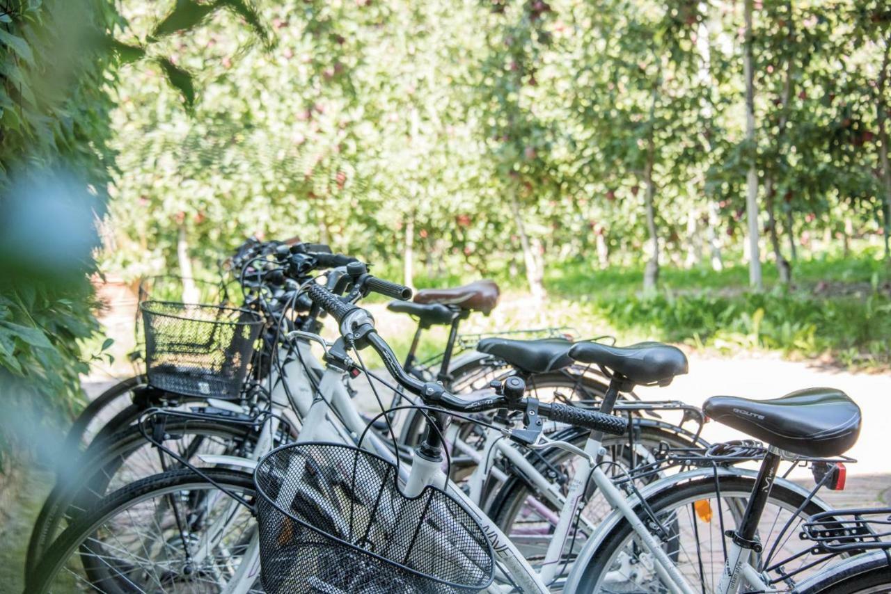 Gartenhof Bressanone Eksteriør bilde